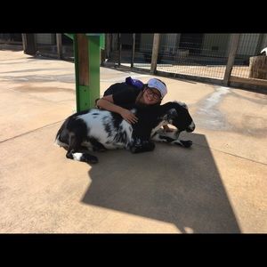 Meet your Posher, Kahlen